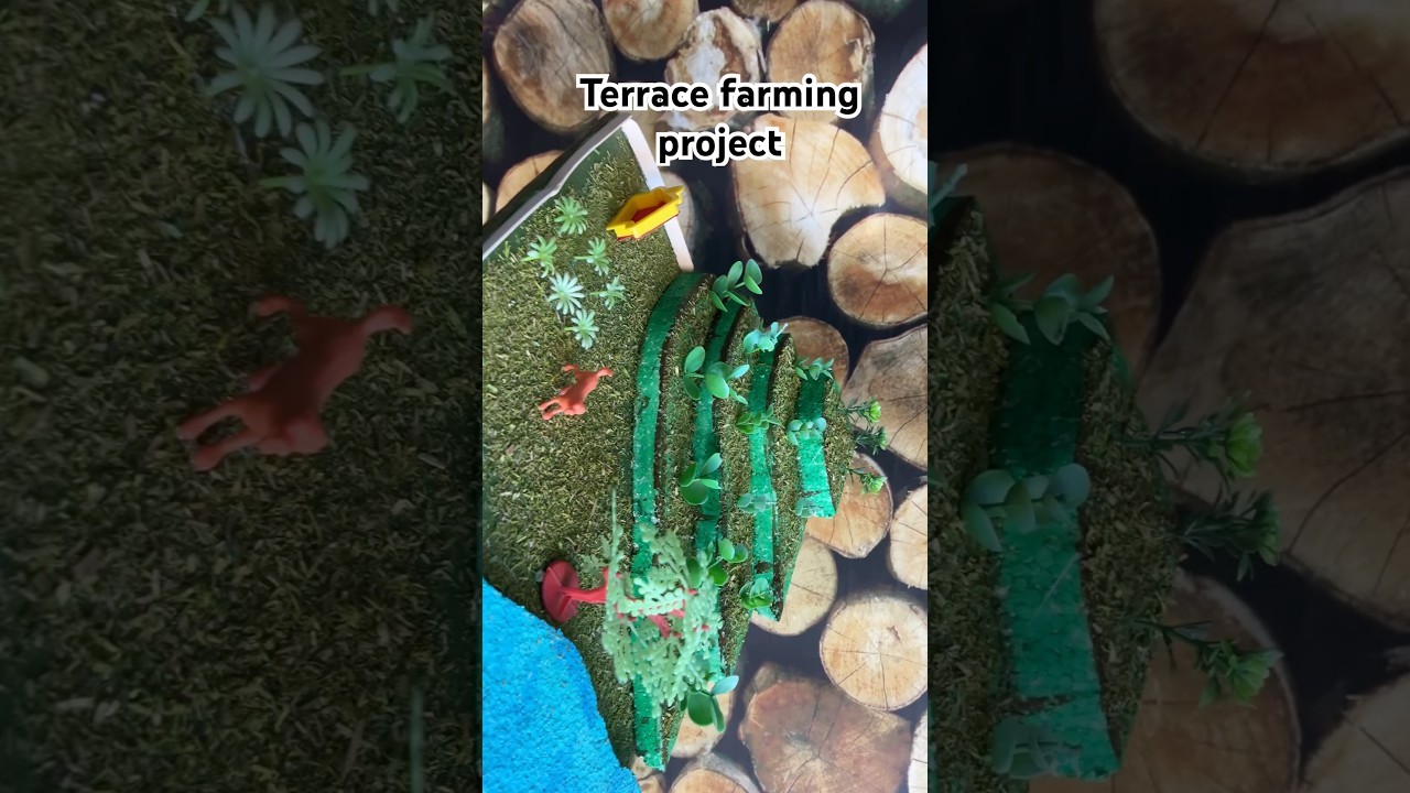 Figure 4: Working Model Setup, Scientific Diagram & Project Prototype for Contour Bunding And Terrace Farming Sloped Hillside Model