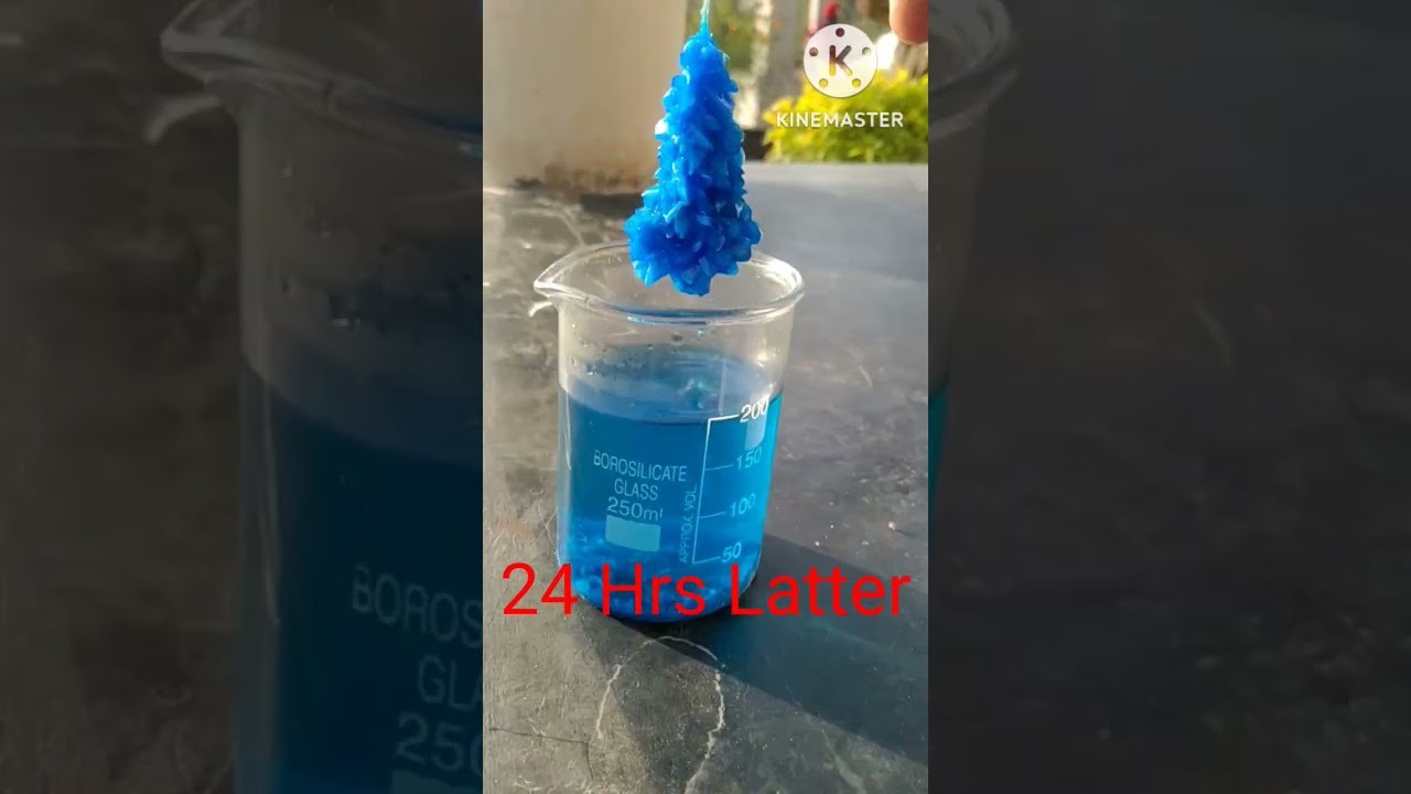 Figure 2: Working Model Setup, Scientific Diagram & Project Prototype for Copper Sulfate Monoclinic Crystal Growth Showcase Model
