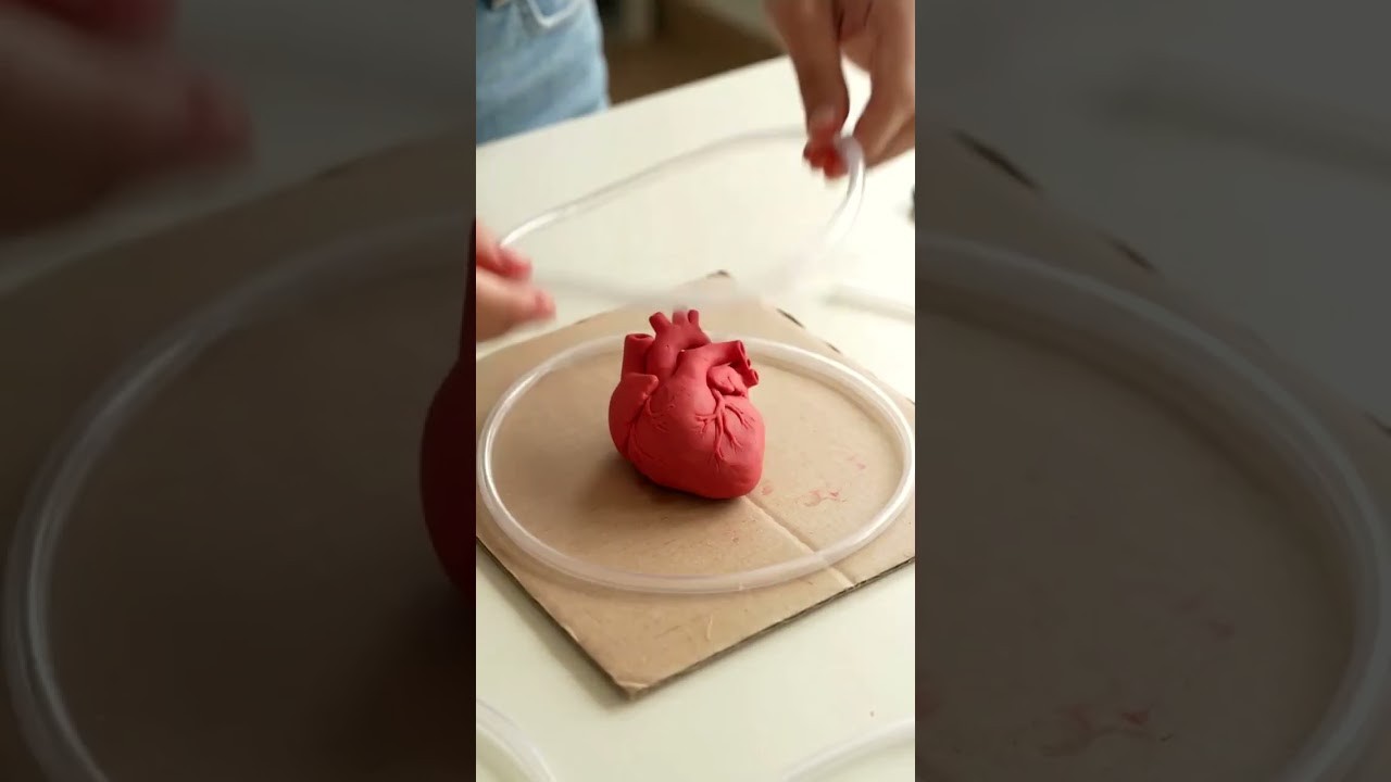 Figure 3: Working Model Setup, Scientific Diagram & Project Prototype for Coronary Artery Bypass Graft Cabg Silicone Model