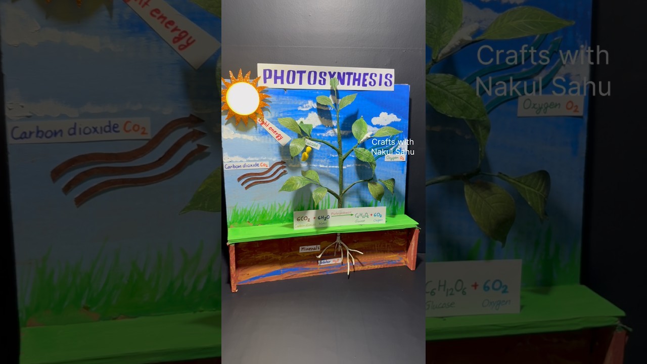 Figure 3: Working Model Setup, Scientific Diagram & Project Prototype for Cytokinin Leaf Senescence Chlorophyll Retention Model