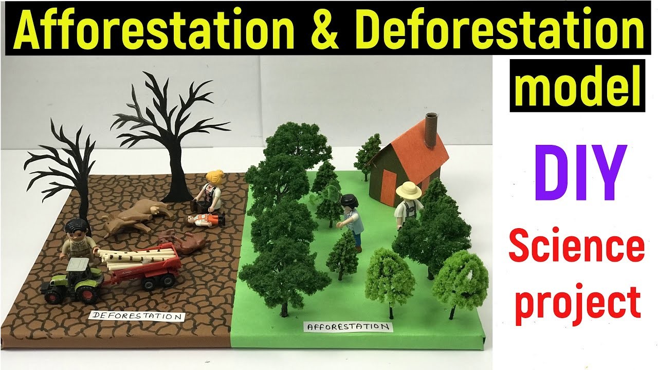 Figure 3: Working Model Setup, Scientific Diagram & Project Prototype for Deforestion And Afforestation Working Model