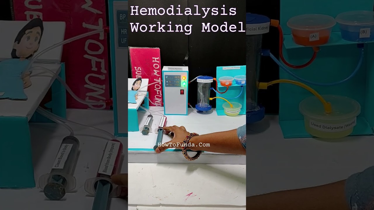 Figure 1: Working Model Setup, Scientific Diagram & Project Prototype for Dialysis Of Colloidal Solution Working Model