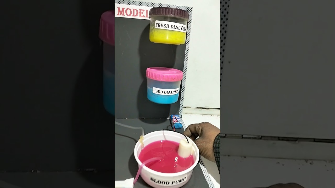 Figure 3: Working Model Setup, Scientific Diagram & Project Prototype for Dialysis Of Colloidal Solution Working Model
