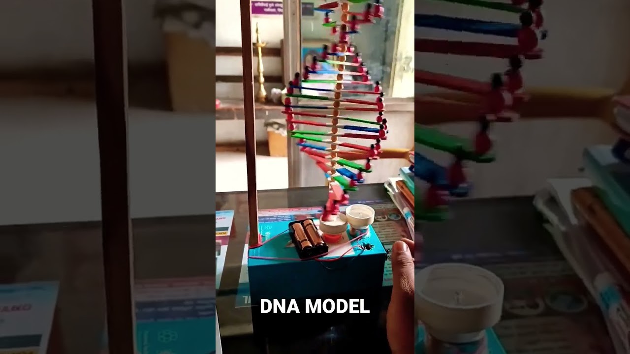 Figure 3: Working Model Setup, Scientific Diagram & Project Prototype for DNA Double Helix Ladder Unzipping Replication Model