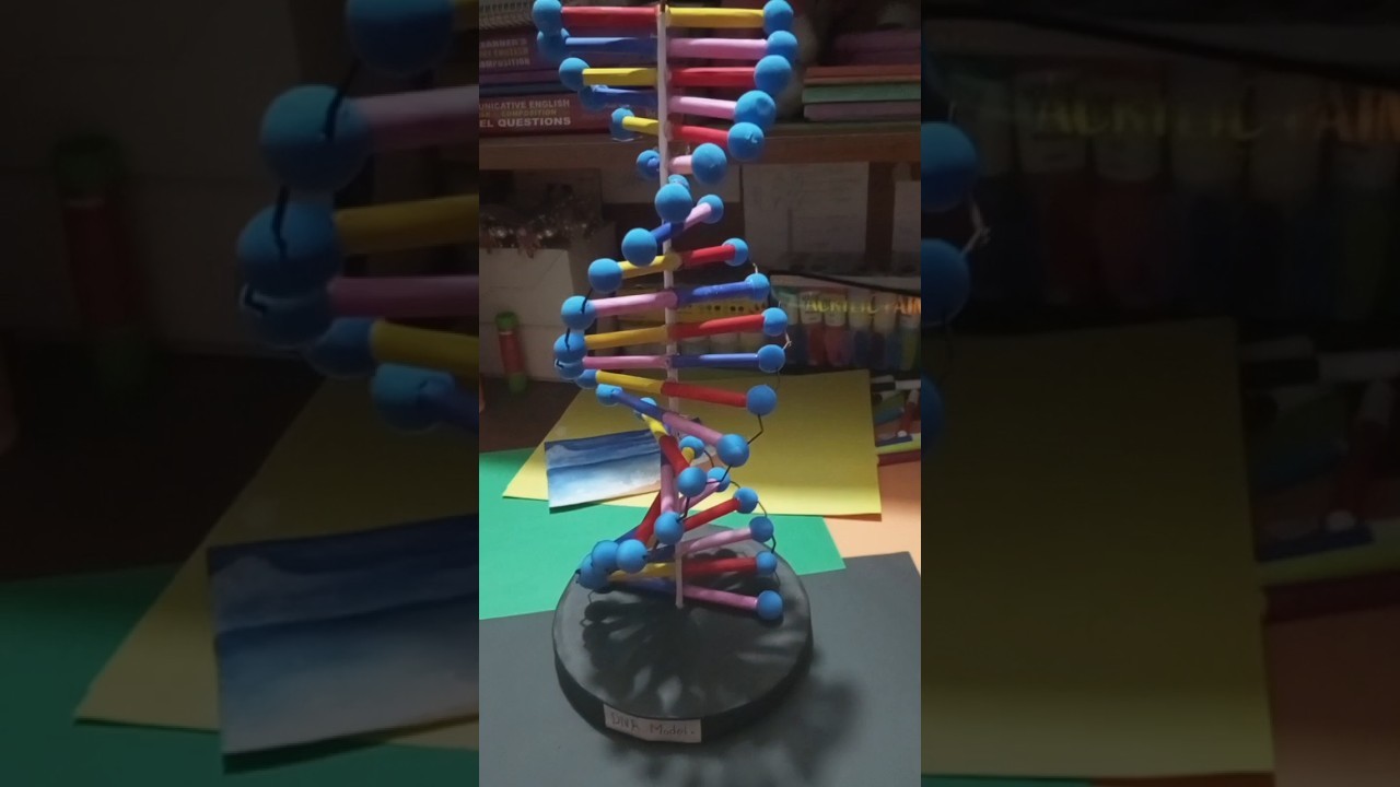 Figure 4: Working Model Setup, Scientific Diagram & Project Prototype for DNA Double Helix Ladder Unzipping Replication Model