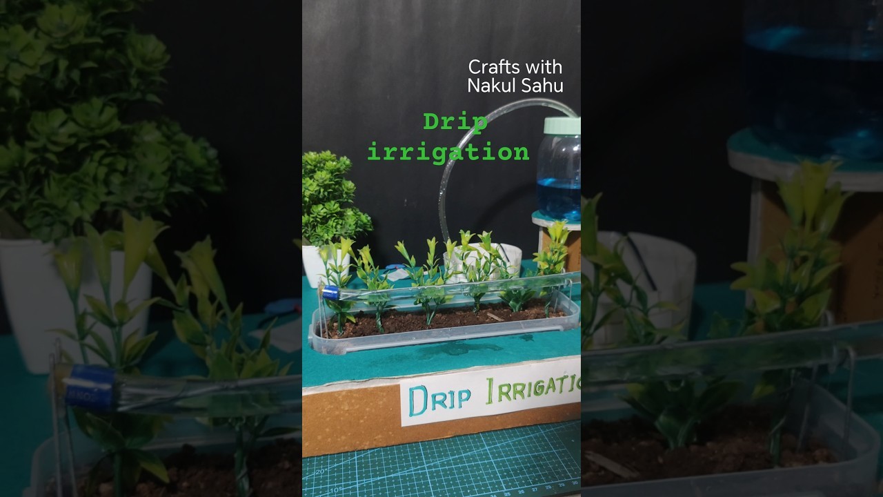 Figure 2: Working Model Setup, Scientific Diagram & Project Prototype for Drip Irrigation System Working Model