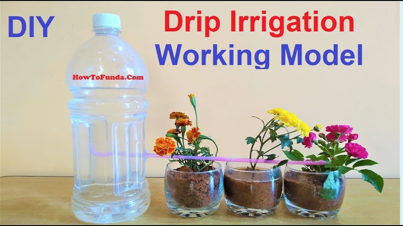 Figure 4: Working Model Setup, Scientific Diagram & Project Prototype for Drip Irrigation System Working Model