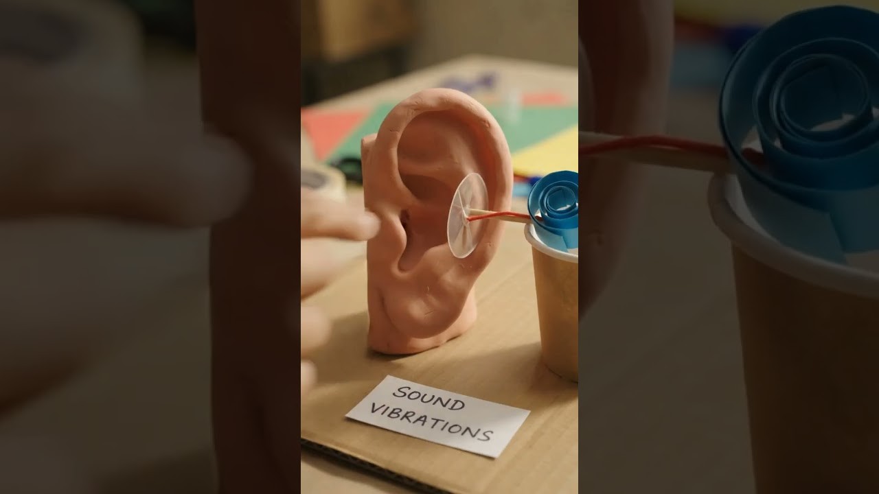 Figure 4: Working Model Setup, Scientific Diagram & Project Prototype for Ear Ossicles Malleus Incus Stapes Lever Amplifier Model