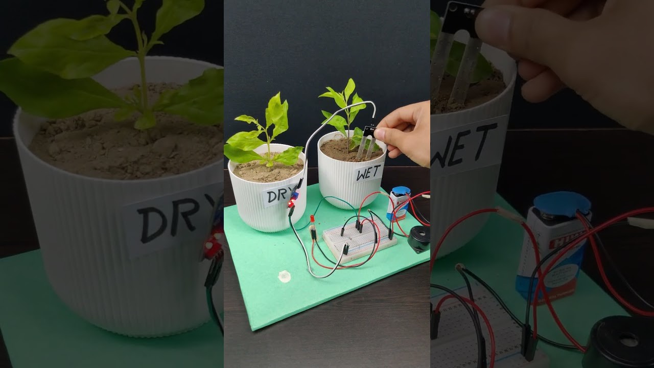 Figure 2: Working Model Setup, Scientific Diagram & Project Prototype for Electronic Grain Moisture Meter Dielectric Cup Probe