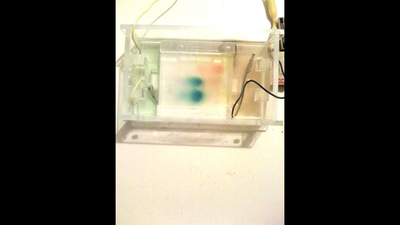 Figure 4: Working Model Setup, Scientific Diagram & Project Prototype for Electrophoresis Working Model Chemistry
