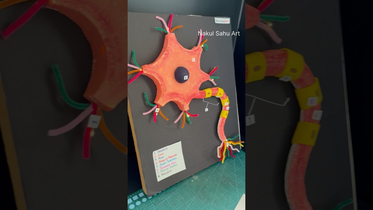 Figure 1: Working Model Setup, Scientific Diagram & Project Prototype for Enzyme Catalysis Working Model Biology