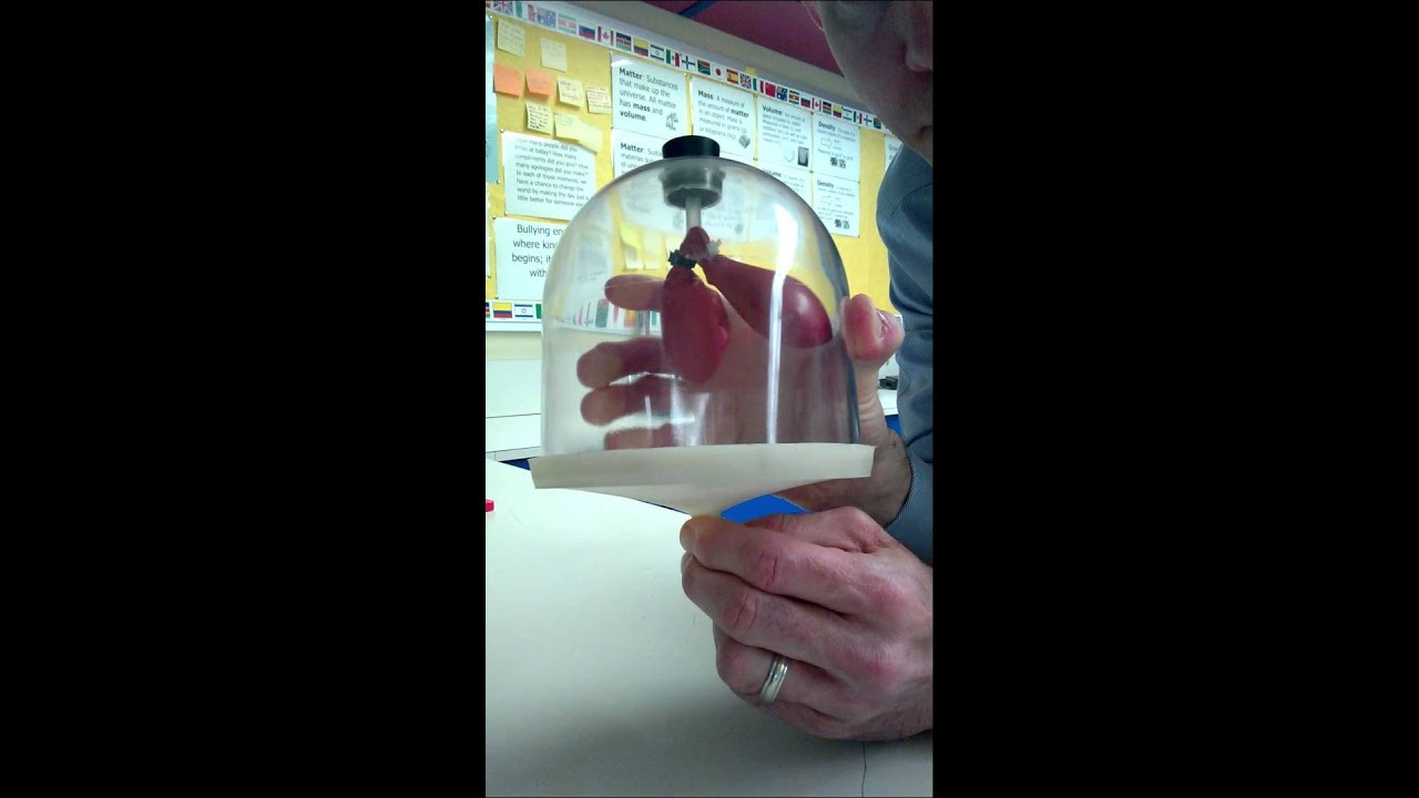 Figure 4: Working Model Setup, Scientific Diagram & Project Prototype for Ethylene Climacteric Fruit Ripening Enclosed Bell Jar