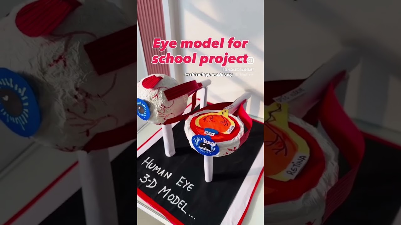 Figure 3: Working Model Setup, Scientific Diagram & Project Prototype for Eye Accommodation Flexible Silicone Fluid Lens Model