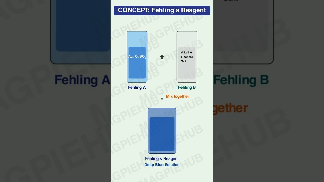 Figure 3: Working Model Setup, Scientific Diagram & Project Prototype for Fehlings Solution Reducing Sugars Cuprous Oxide Model