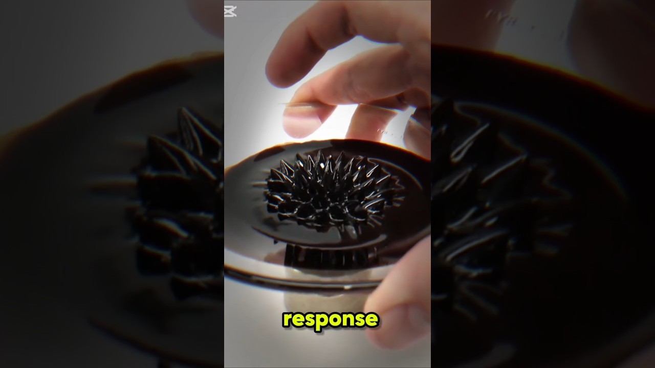 Figure 2: Working Model Setup, Scientific Diagram & Project Prototype for Ferrofluid Liquid Magnetic Spikes Working Model