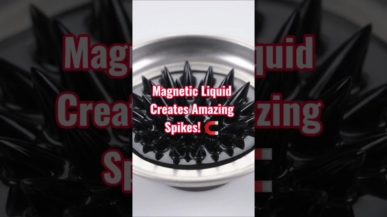 Figure 4: Working Model Setup, Scientific Diagram & Project Prototype for Ferrofluid Liquid Magnetic Spikes Working Model