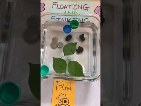 Figure 1: Working Model Setup, Scientific Diagram & Project Prototype for Floating And Sinking Working Model