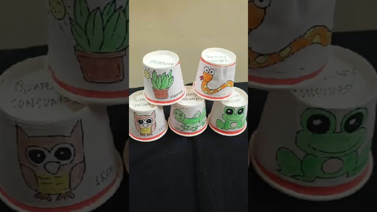 Figure 1: Working Model Setup, Scientific Diagram & Project Prototype for Food Chain Working Model Using Paper Cups