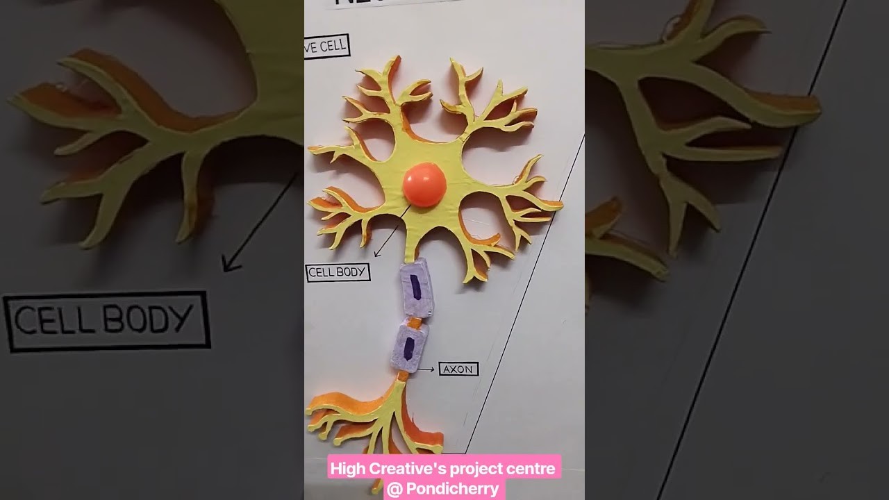 Figure 4: Working Model Setup, Scientific Diagram & Project Prototype for Galvanic Vestibular Stimulation Balance Disrupter Model