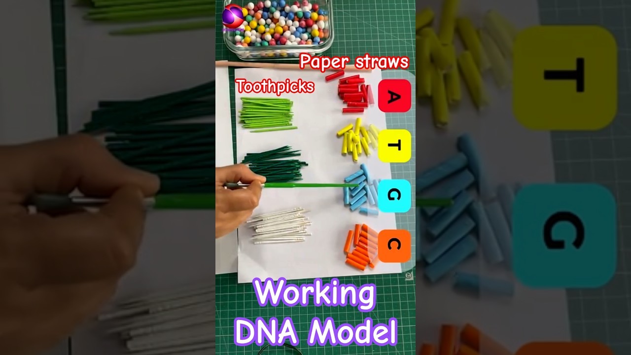 Figure 4: Working Model Setup, Scientific Diagram & Project Prototype for Gel Electrophoresis Working Model For DNA Separation
