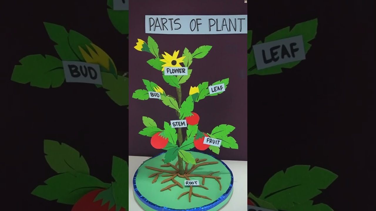 Figure 1: Working Model Setup, Scientific Diagram & Project Prototype for Gibberellin Dwarf Plant STEM Elongation Bolting Model