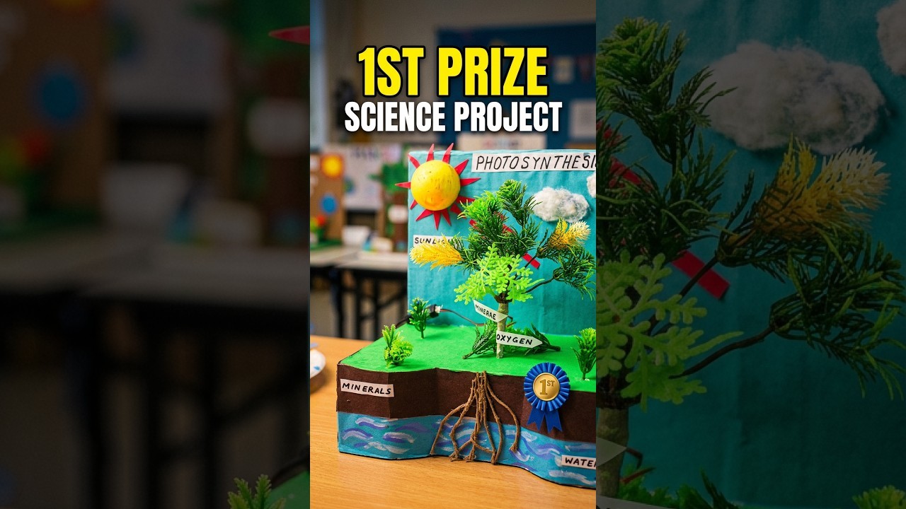 Figure 2: Working Model Setup, Scientific Diagram & Project Prototype for Golden Rice Beta Carotene Pathway Biosynthesis Model
