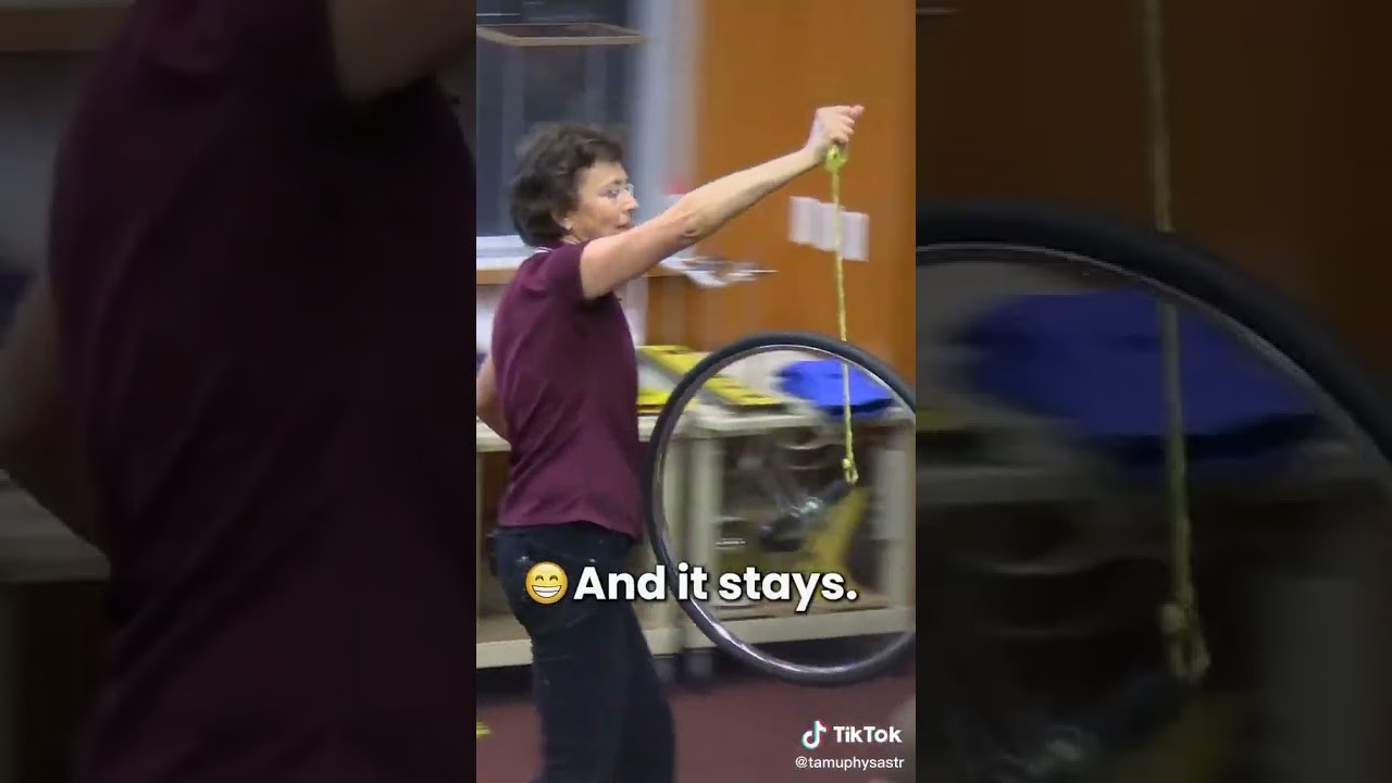 Figure 3: Working Model Setup, Scientific Diagram & Project Prototype for Gyroscope Working Model Angular Momentum