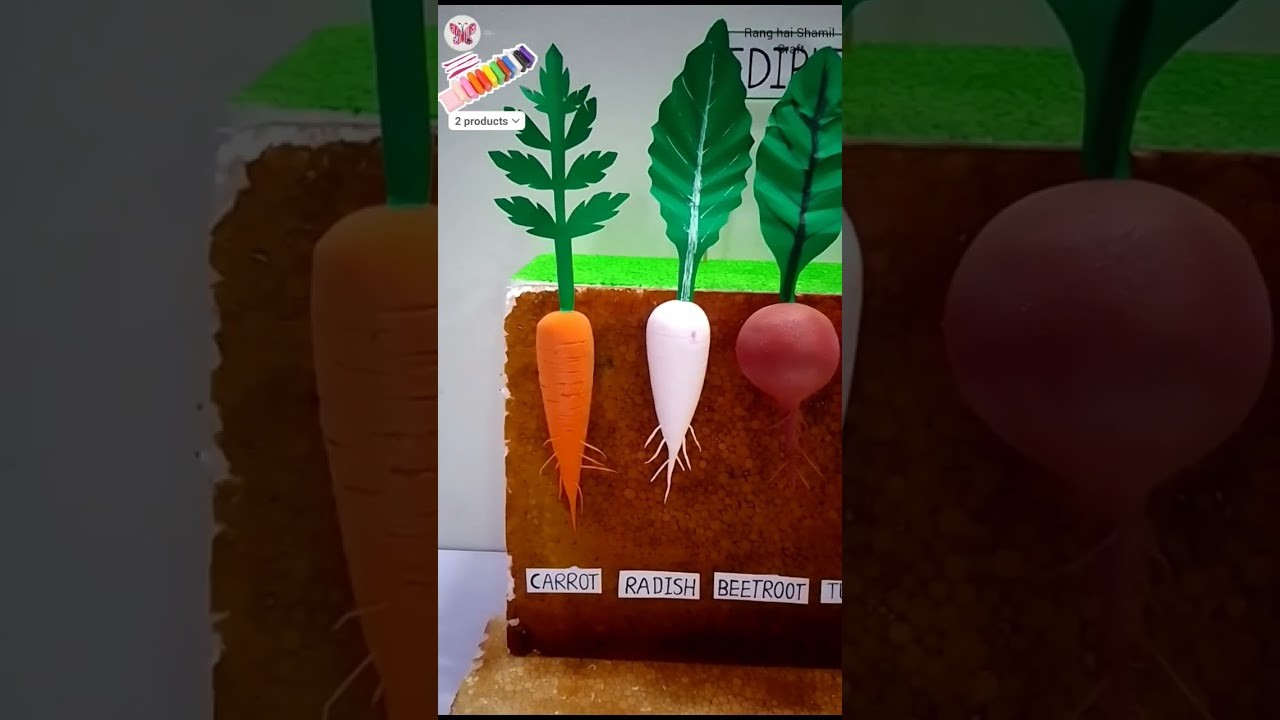 Figure 1: Working Model Setup, Scientific Diagram & Project Prototype for Halophytic Mangrove Stilt Roots And Salt Excretion Glands