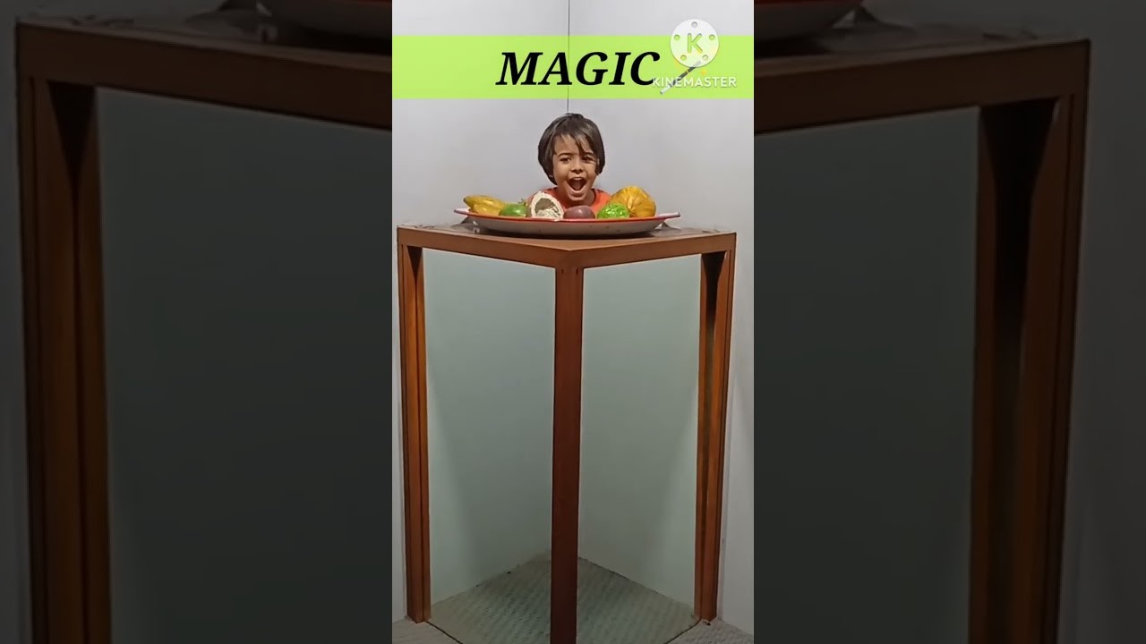 Figure 3: Working Model Setup, Scientific Diagram & Project Prototype for Head On A Platter Two Mirror Table Periscope Illusion
