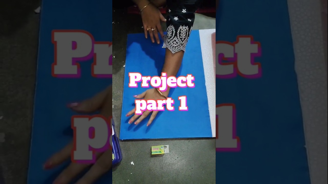 Figure 3: Working Model Setup, Scientific Diagram & Project Prototype for Healthy Food And Junk Food Working Model