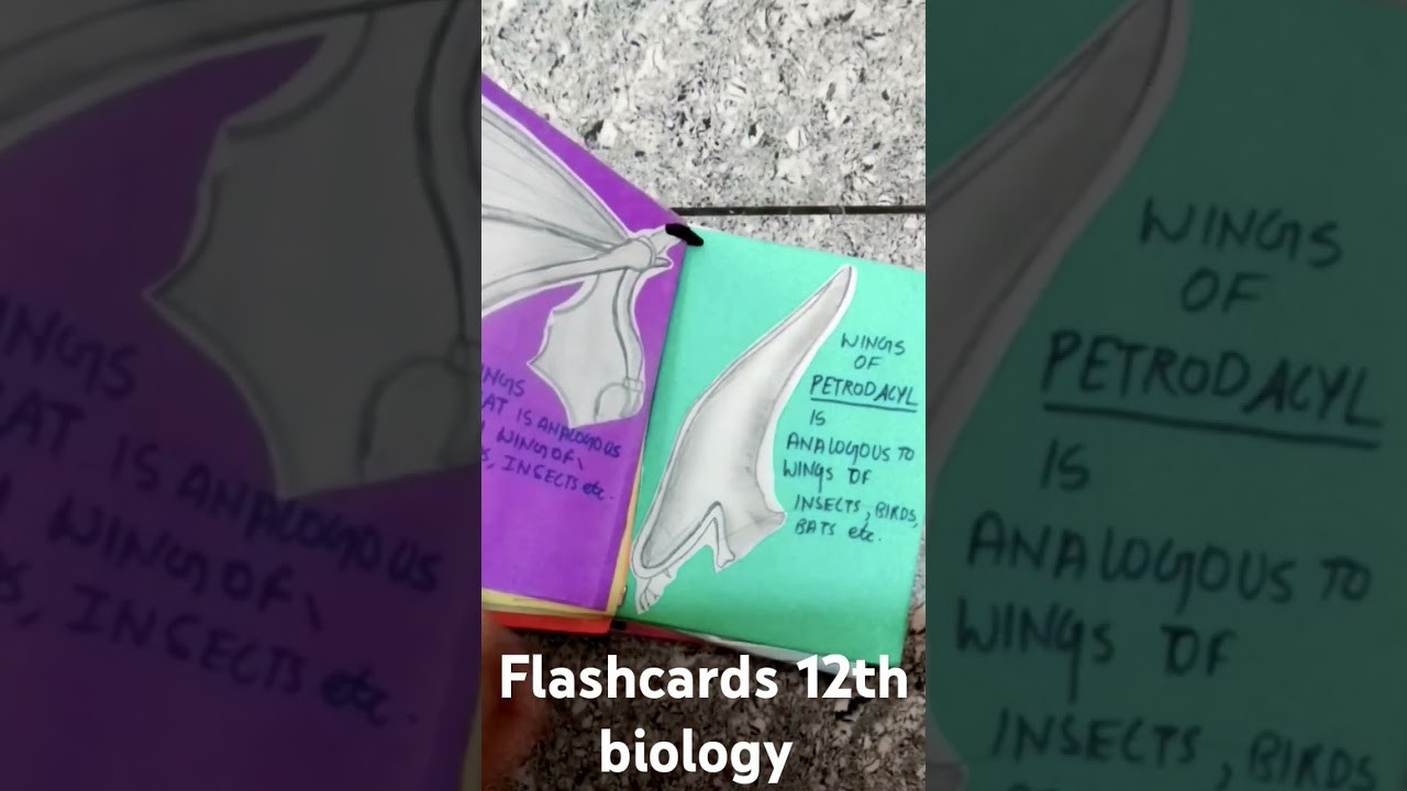 Figure 2: Working Model Setup, Scientific Diagram & Project Prototype for Homologous And Analogous Organs Working Display