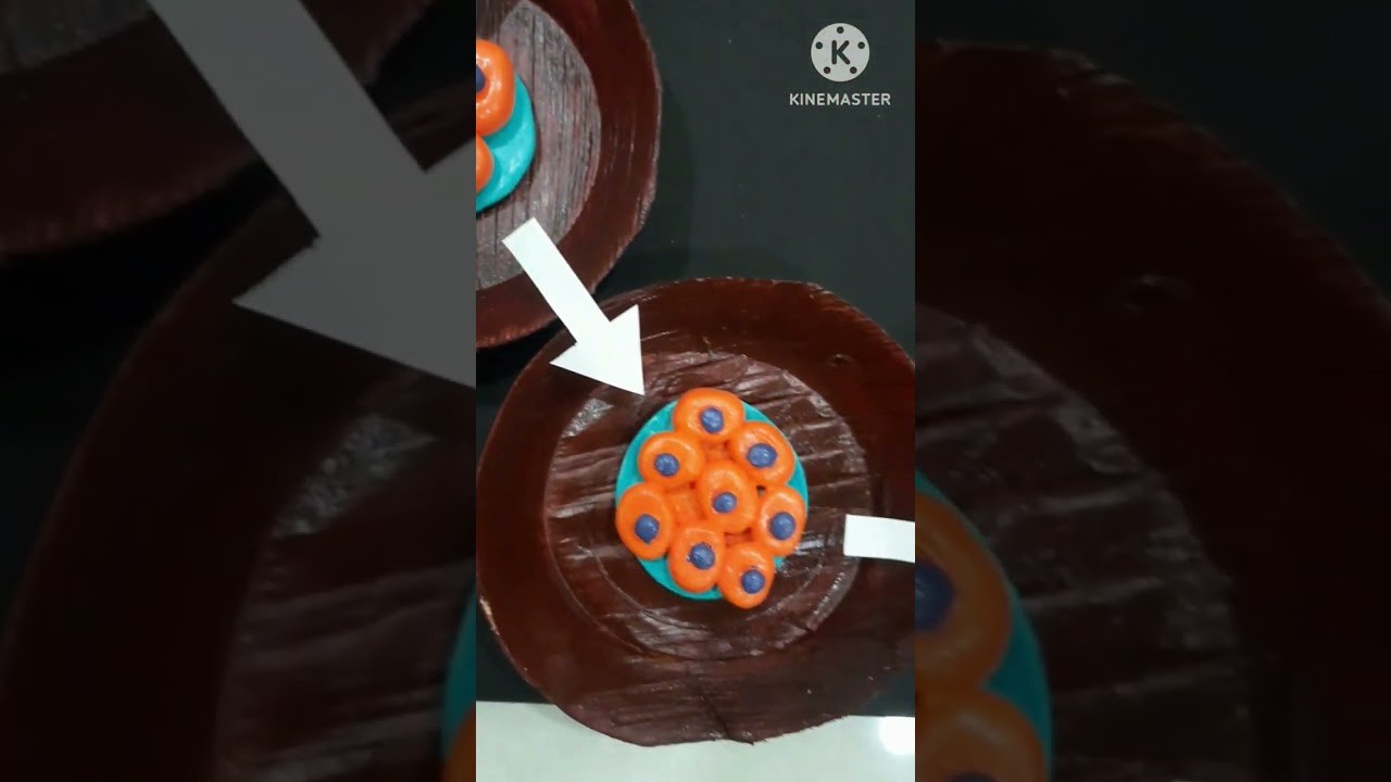 Figure 3: Working Model Setup, Scientific Diagram & Project Prototype for Human Embryo Development Working Model Stages