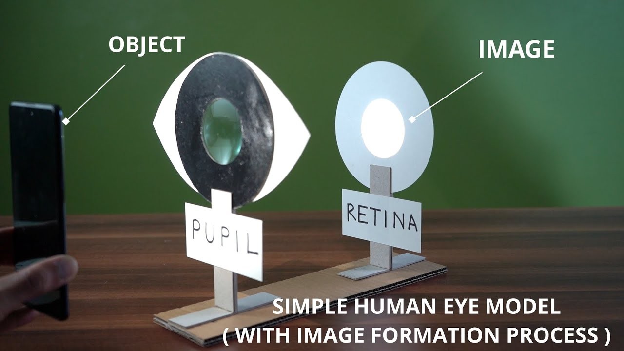 Figure 2: Working Model Setup, Scientific Diagram & Project Prototype for Human Eye Retinal Inverted Image Formation Model