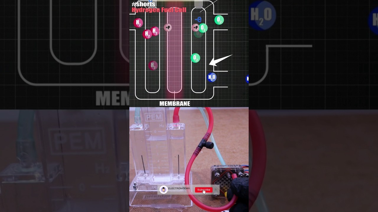 Figure 3: Working Model Setup, Scientific Diagram & Project Prototype for Hydrogen Fuel Cell Working Model Chemistry