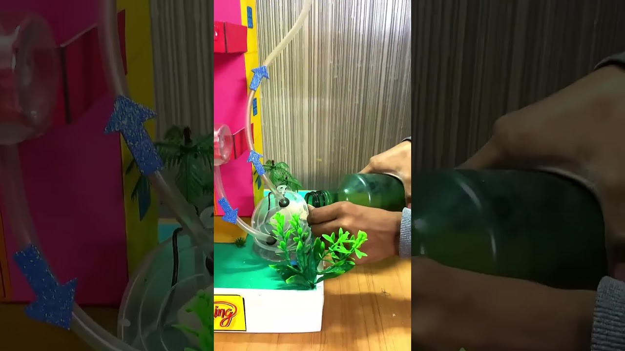Figure 1: Working Model Setup, Scientific Diagram & Project Prototype for Hydrophytic Water Hyacinth Aerenchyma Floating Sponge