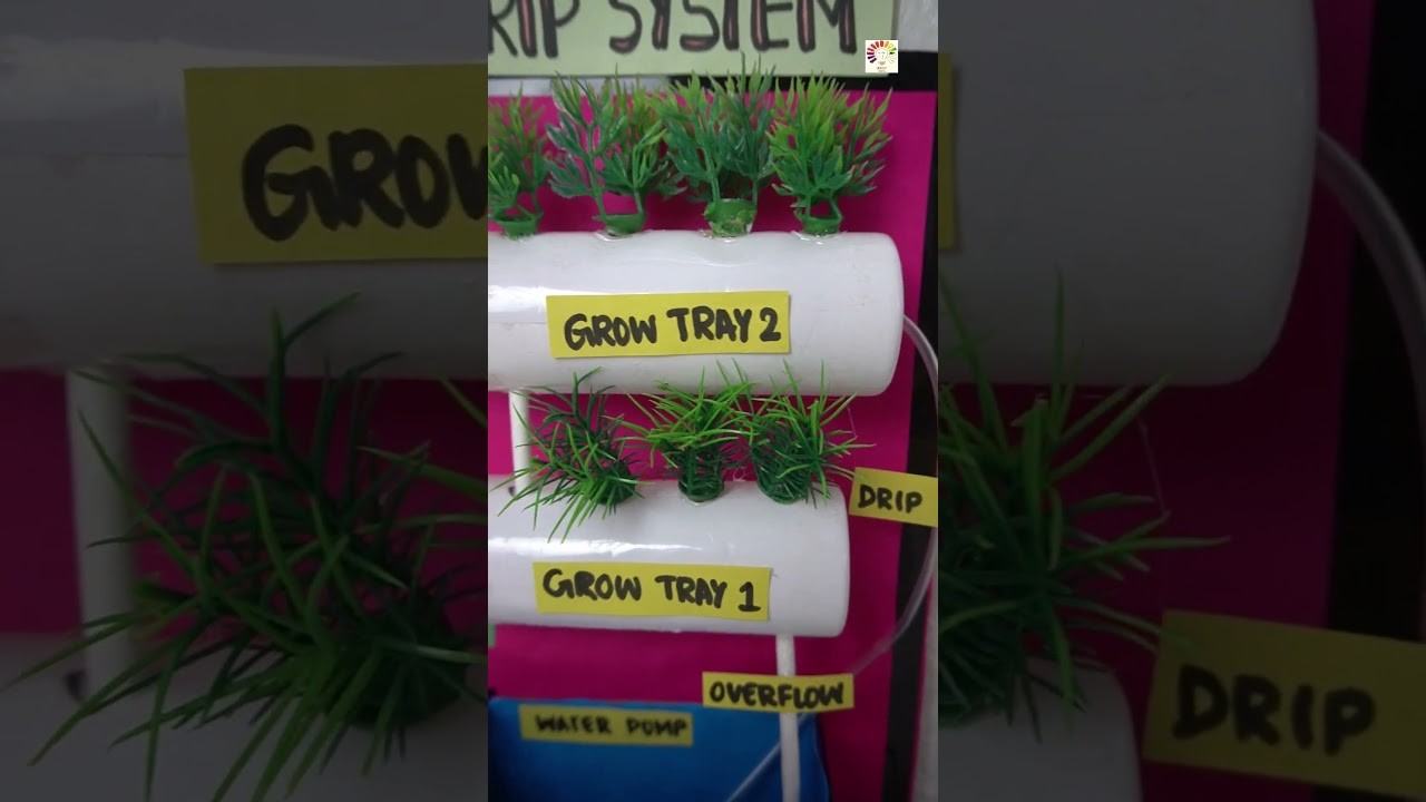 Figure 1: Working Model Setup, Scientific Diagram & Project Prototype for Hydroponic Fodder Machine Seven Day Green Grass Sprouter