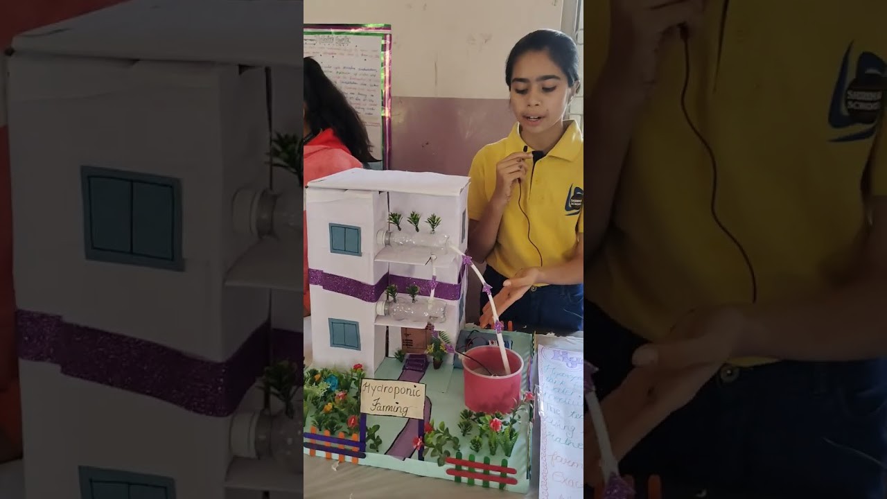 Figure 2: Working Model Setup, Scientific Diagram & Project Prototype for Hydroponic Fodder Machine Seven Day Green Grass Sprouter