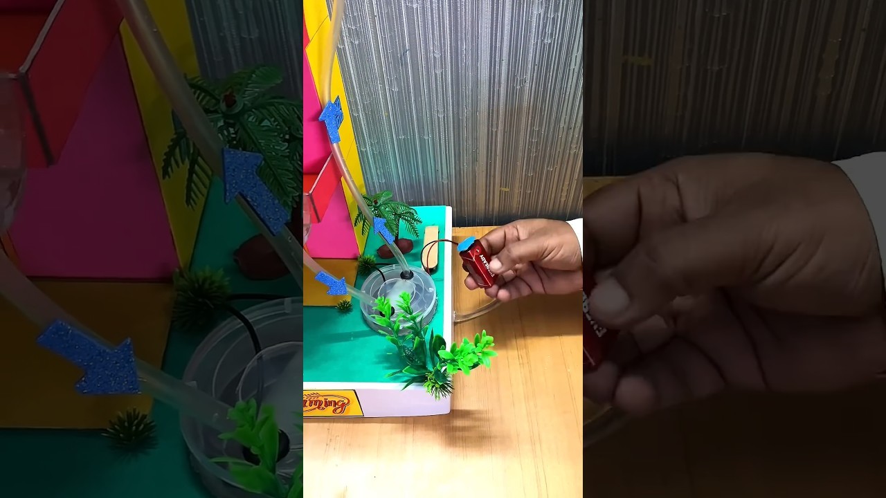 Figure 3: Working Model Setup, Scientific Diagram & Project Prototype for Hydroponic Fodder Machine Seven Day Green Grass Sprouter