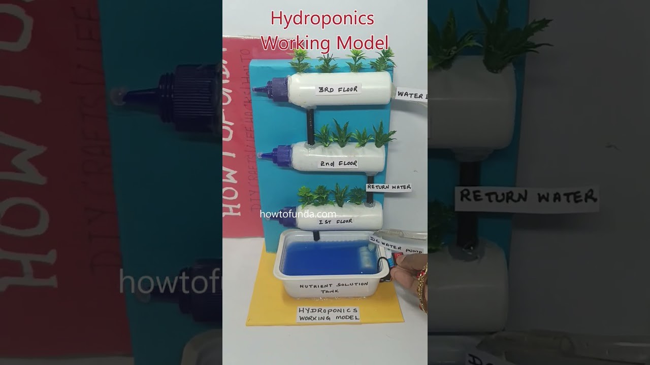 Figure 4: Working Model Setup, Scientific Diagram & Project Prototype for Hydroponic Fodder Machine Seven Day Green Grass Sprouter