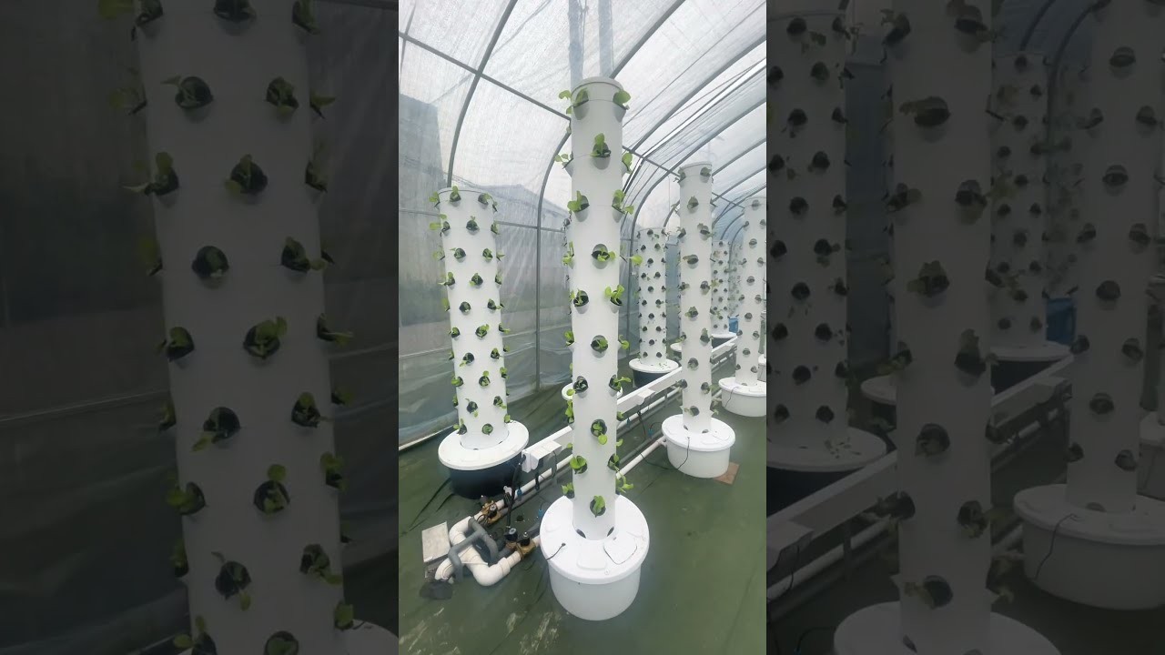 Figure 1: Working Model Setup, Scientific Diagram & Project Prototype for Hydroponic Green Fodder Sprouting Chamber Racks