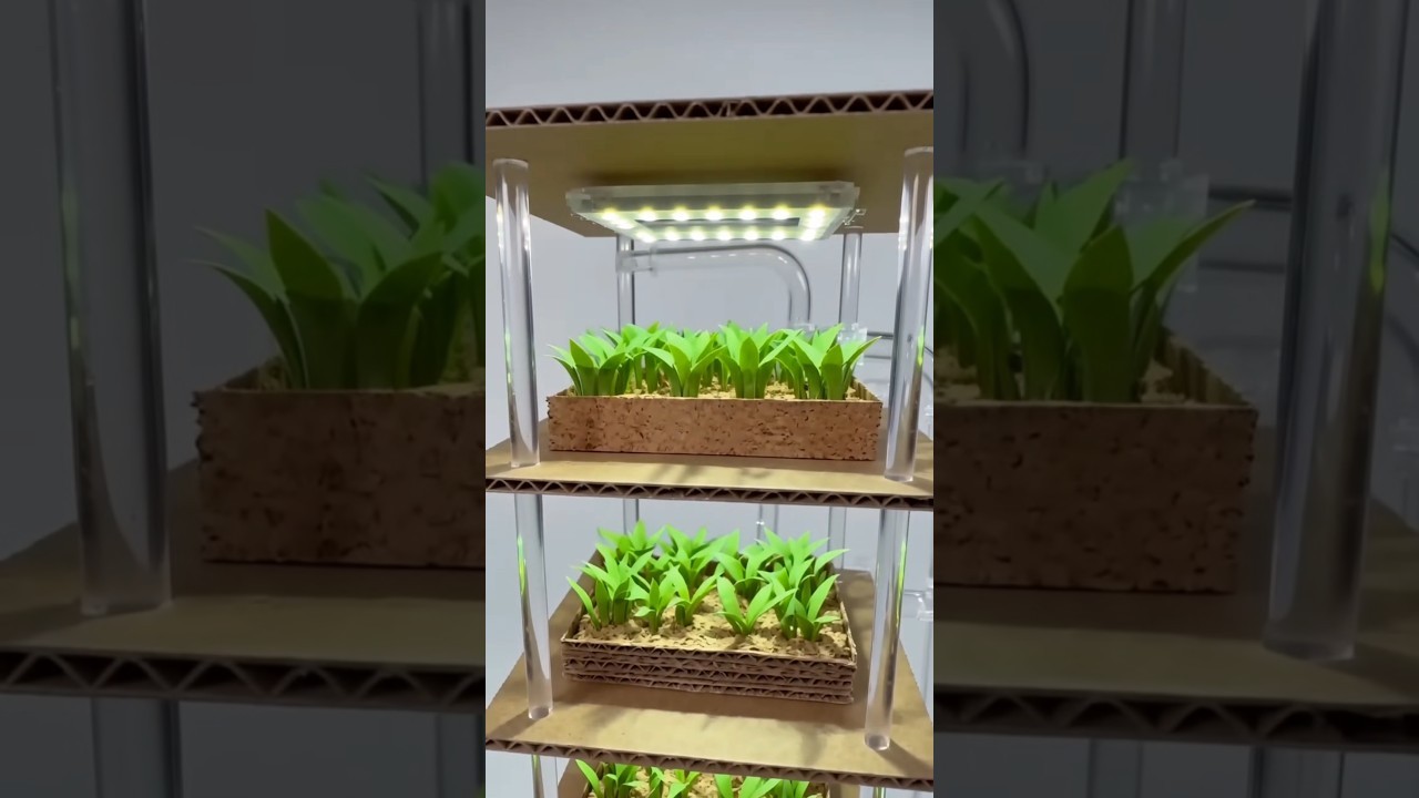 Figure 4: Working Model Setup, Scientific Diagram & Project Prototype for Hydroponic Green Fodder Sprouting Chamber Racks