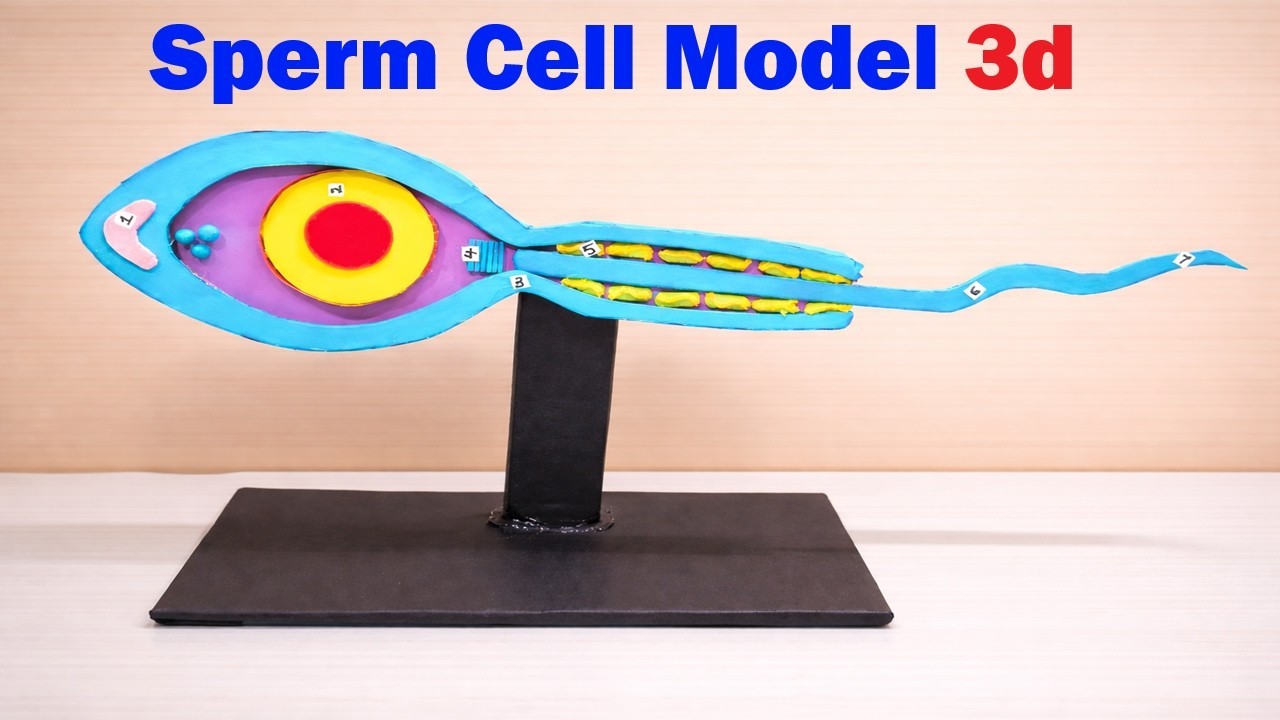 Figure 2: Working Model Setup, Scientific Diagram & Project Prototype for In Vitro Fertilization Micromanipulator Pipette Model