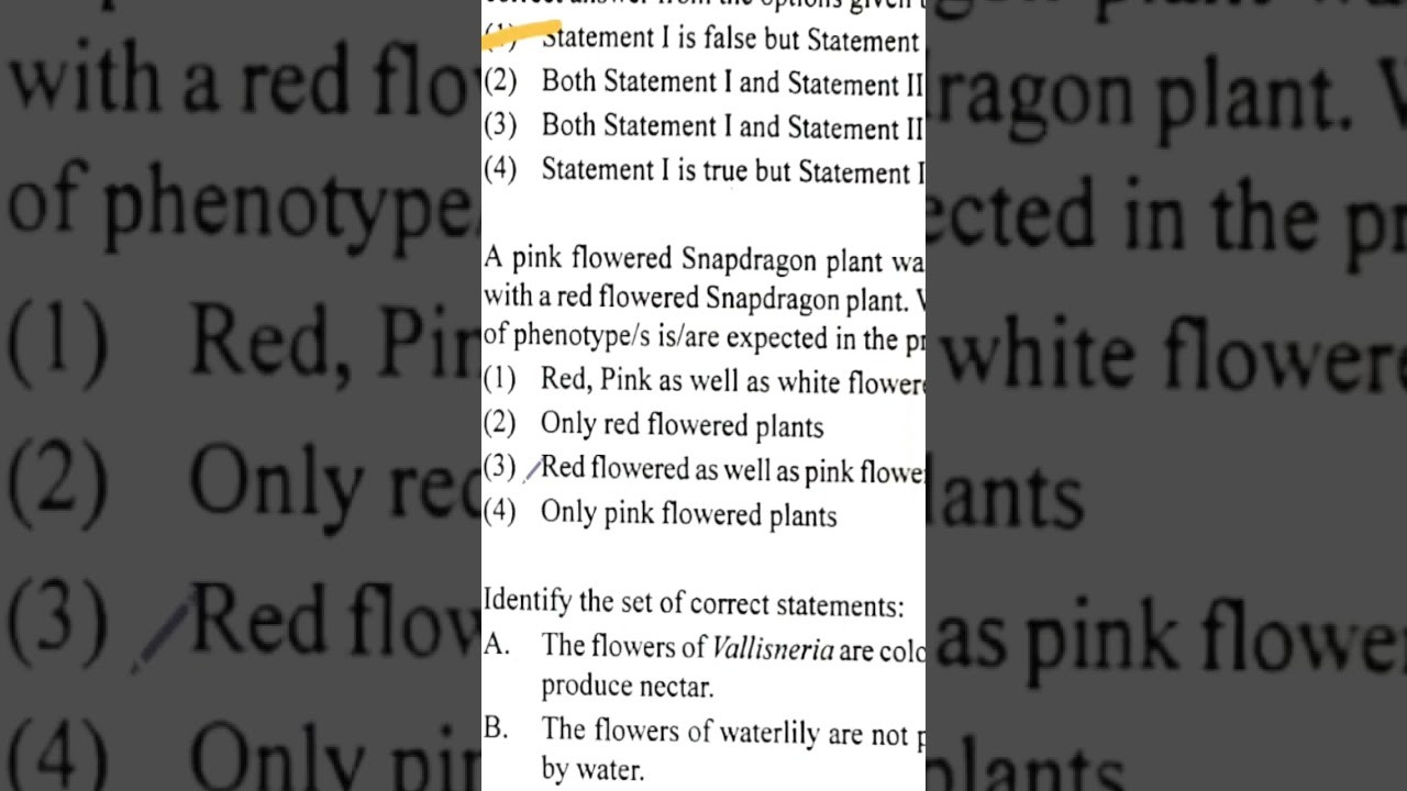 Figure 1: Working Model Setup, Scientific Diagram & Project Prototype for Incomplete Dominance Snapdragon Pink Flower Cross Model