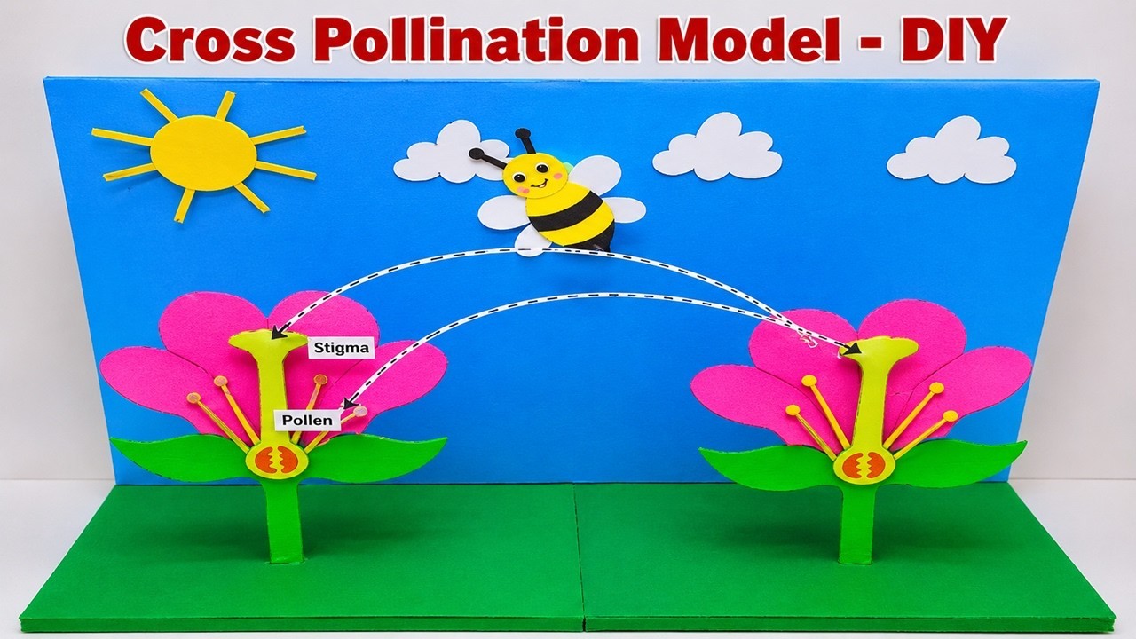 Figure 1: Working Model Setup, Scientific Diagram & Project Prototype for Insect Pollination Salvia Turnpipe Lever Stamens Model