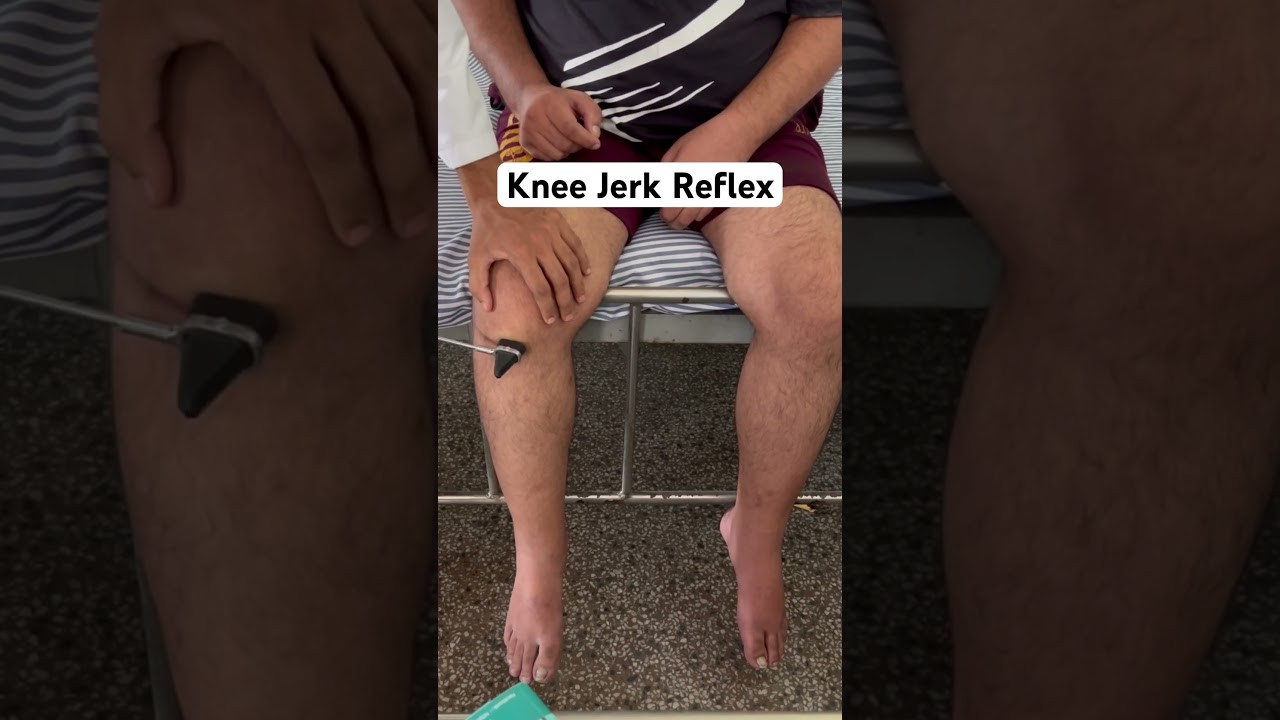Figure 1: Working Model Setup, Scientific Diagram & Project Prototype for Knee Jerk Patellar Reflex Hammer Electrical Circuit Model