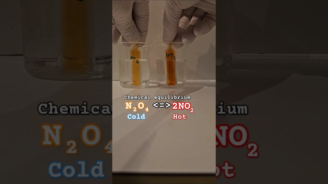 Figure 2: Working Model Setup, Scientific Diagram & Project Prototype for Le Chateliers Principle Nitrogen Dioxide Equilibrium Tube