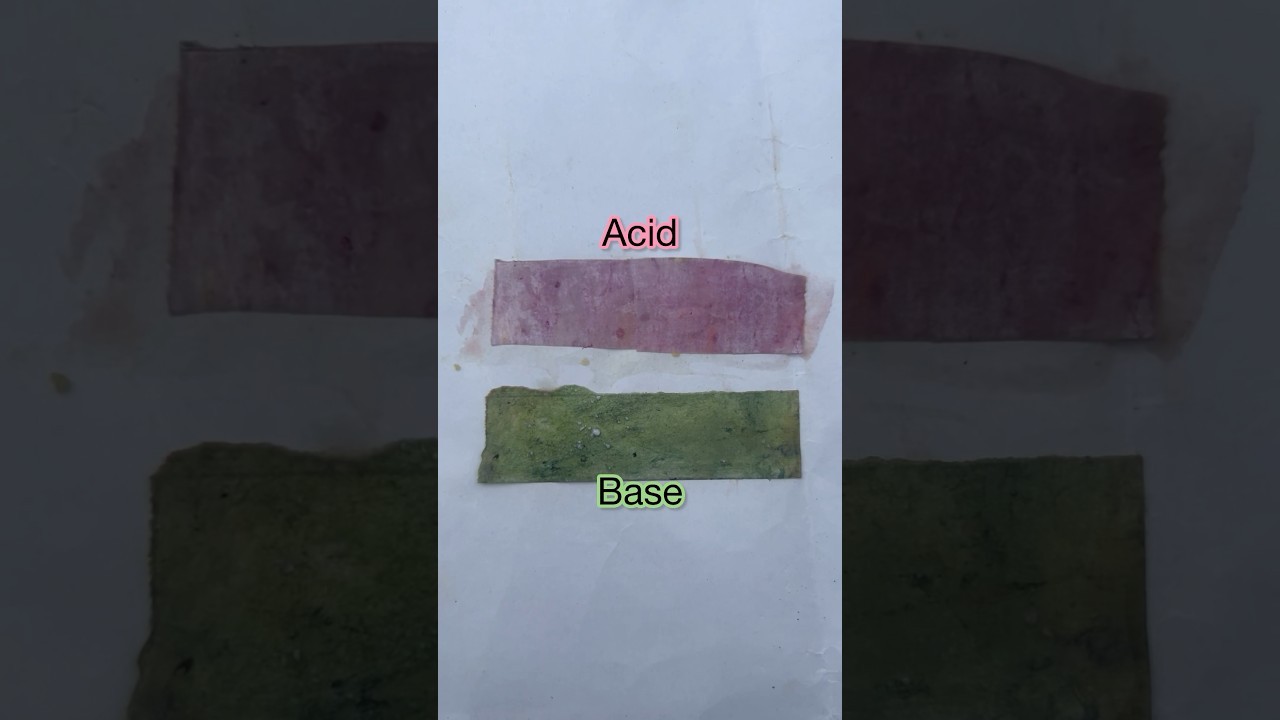 Figure 1: Working Model Setup, Scientific Diagram & Project Prototype for Litmus Paper Synthesis From Lichen Extract Model