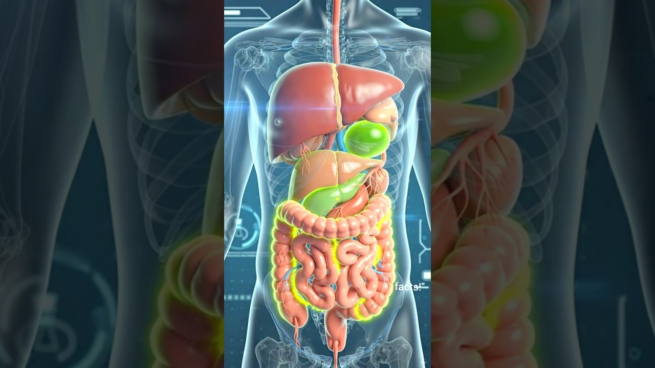 Figure 3: Working Model Setup, Scientific Diagram & Project Prototype for Liver Gall Bladder Bile Fat Emulsification Tank Model