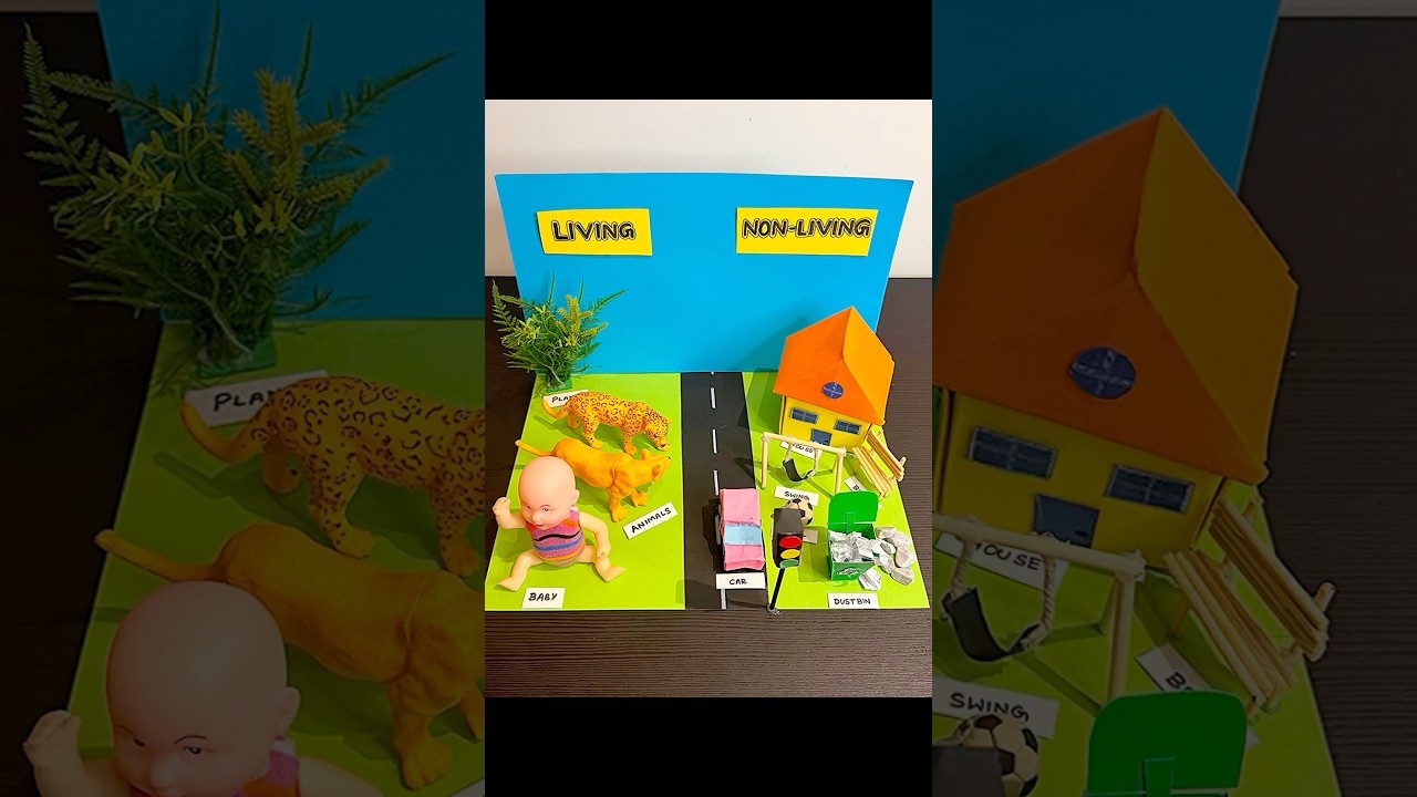Figure 3: Working Model Setup, Scientific Diagram & Project Prototype for Living And Non Living Things Working Model