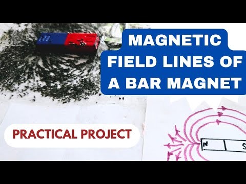 Figure 1: Working Model Setup, Scientific Diagram & Project Prototype for Magnetic Field Lines Around A Straight Conductor Model